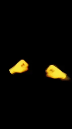 صورتك Photo
