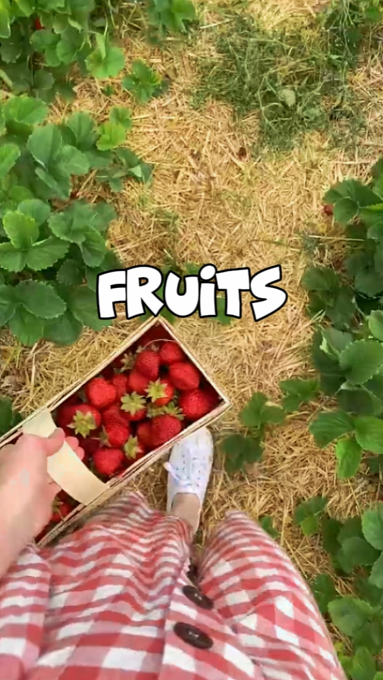 Früchte vlog 