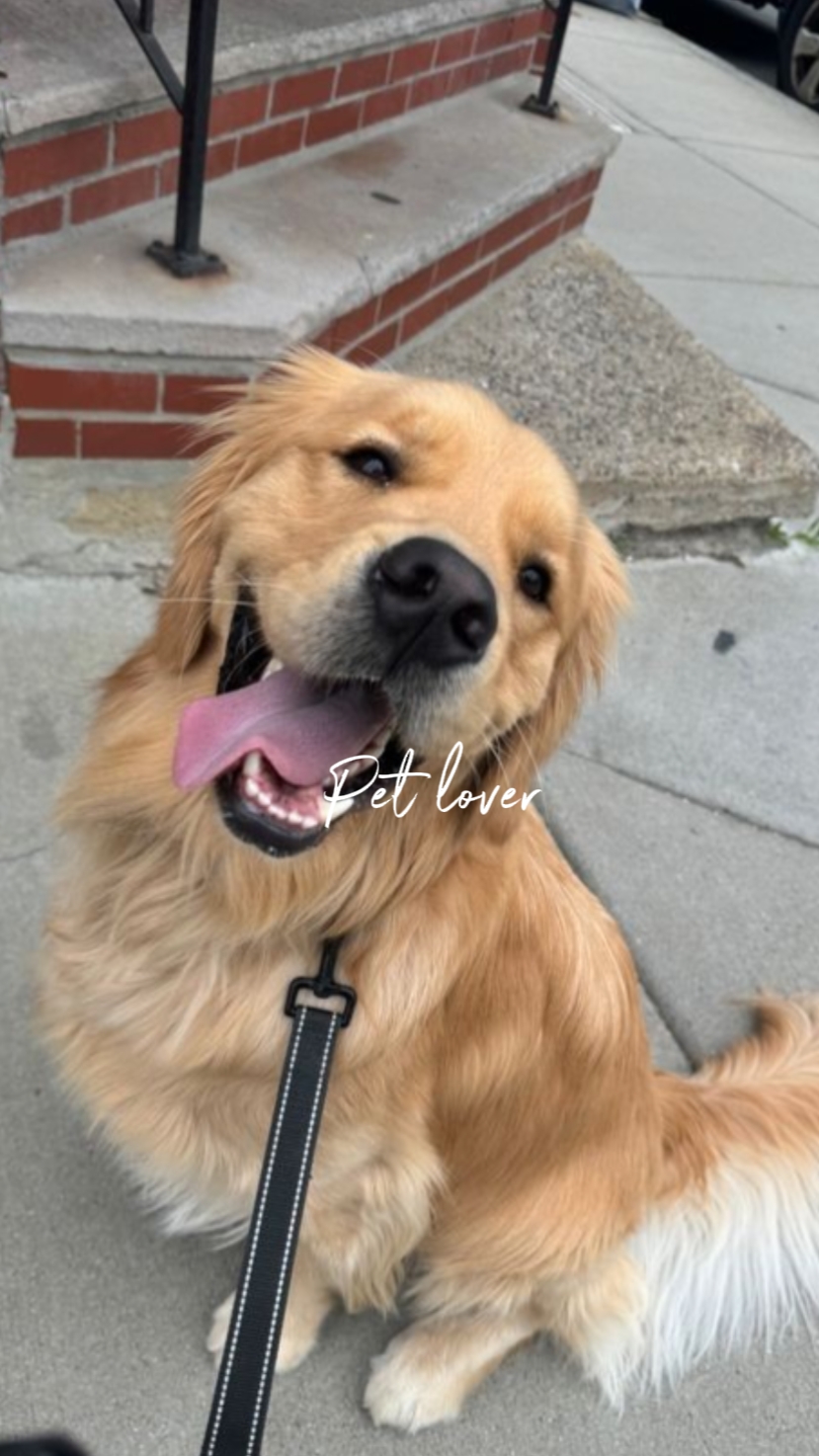 Amante de las mascotas