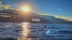 4 VIDEO SLOWMOTION