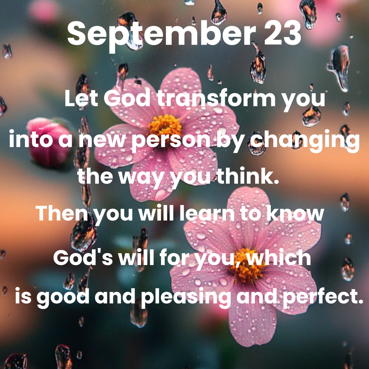 September 23 