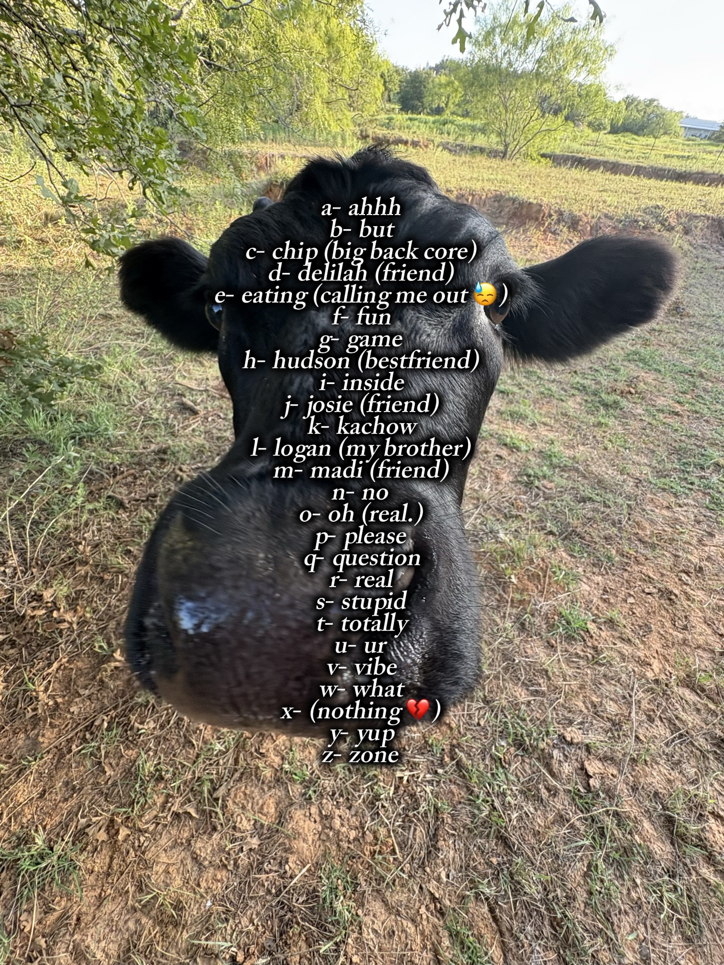 my abc’s