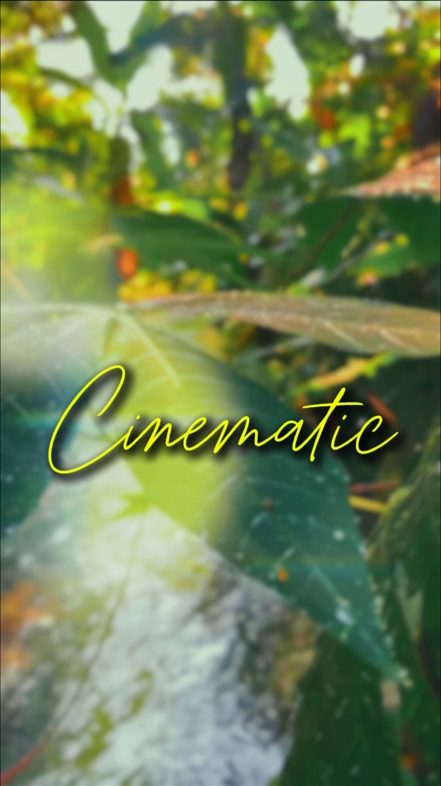 cinematic 5 clips 