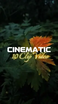 10 clip video 