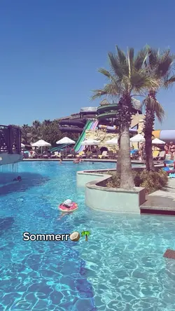 🥥🌴