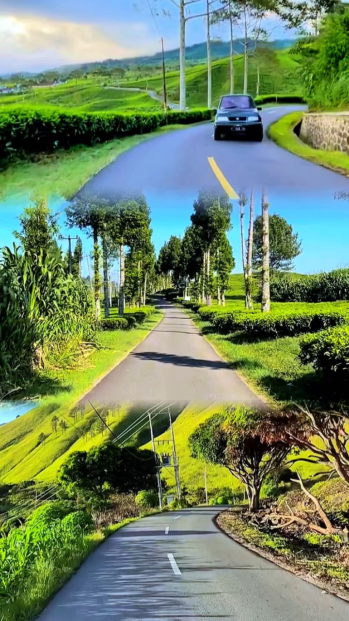 3 video 1 layout HD