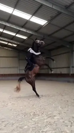 Horse fail NOT ME!