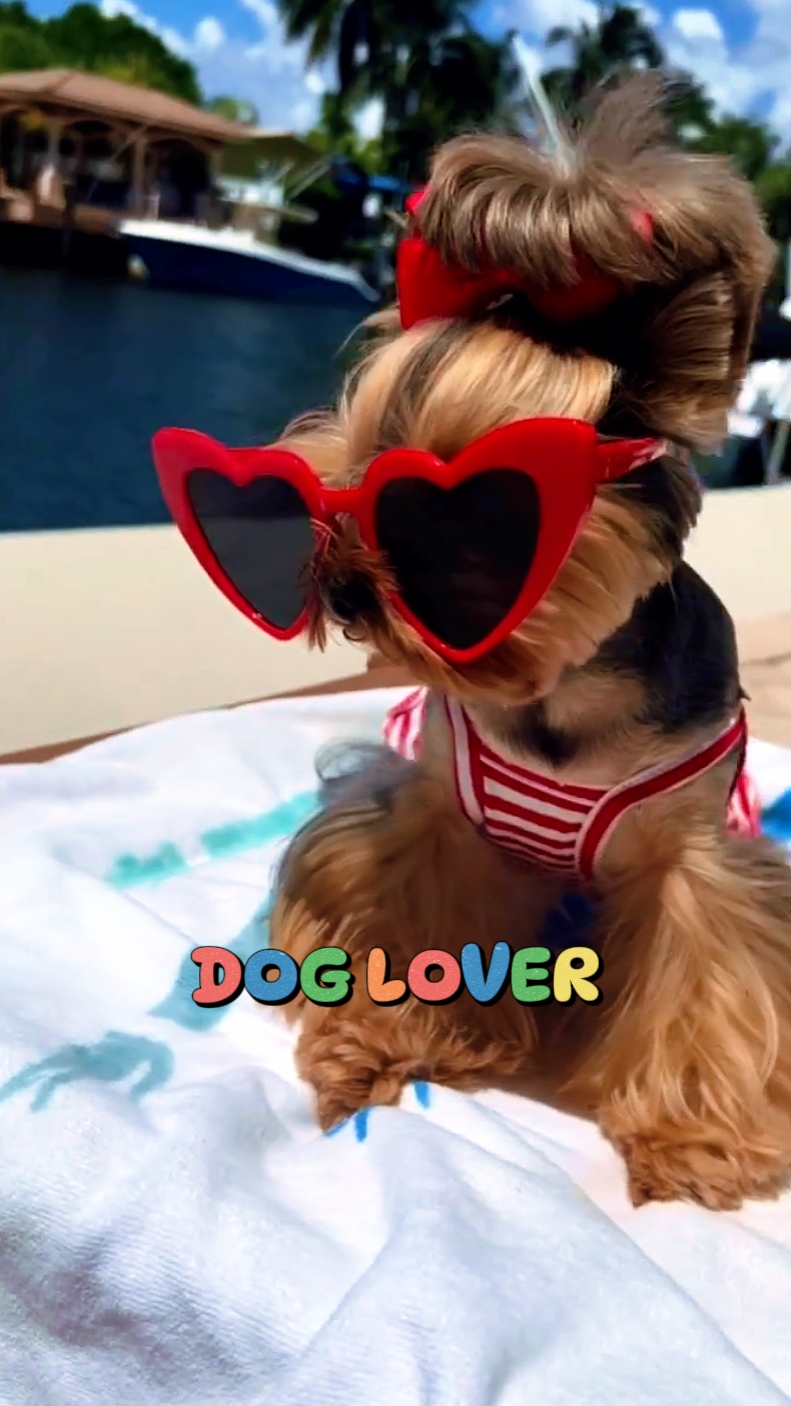 dog lover