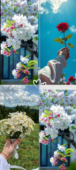 4 photo Trend Templa