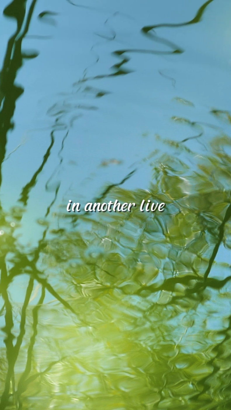 in another live
