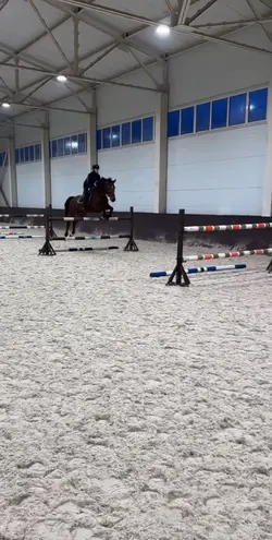 Horse slowmo💕