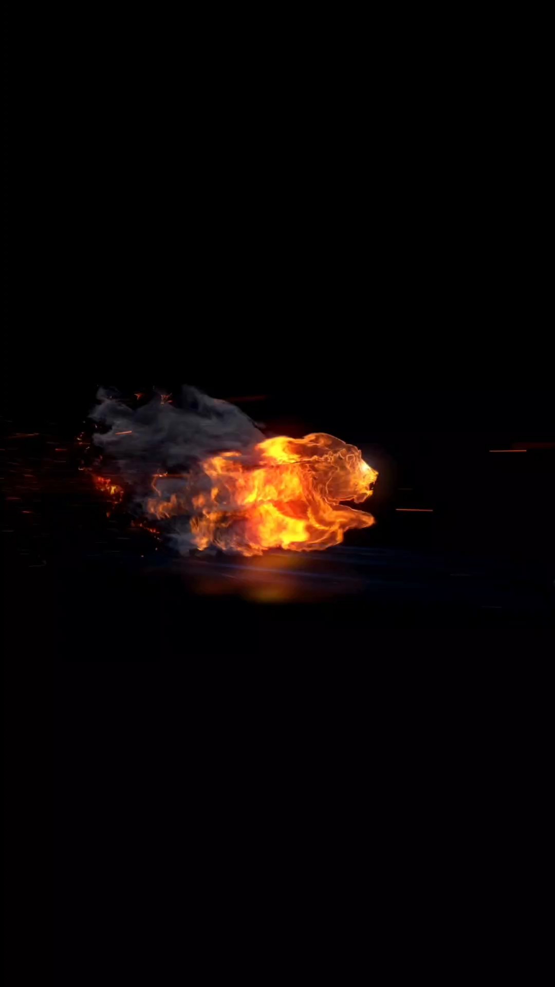 Fire Lion 9:16