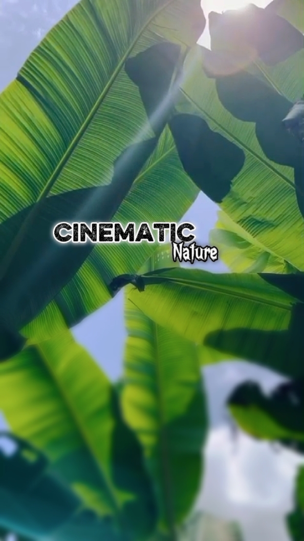 7 Clips Cinemáticos 