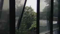 rainy vibes