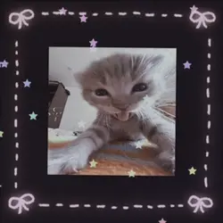kitties !!
