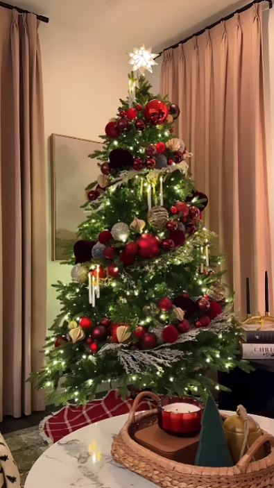 vlog christmas 