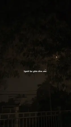 Người lạc giữa đêm