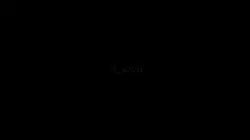 追星