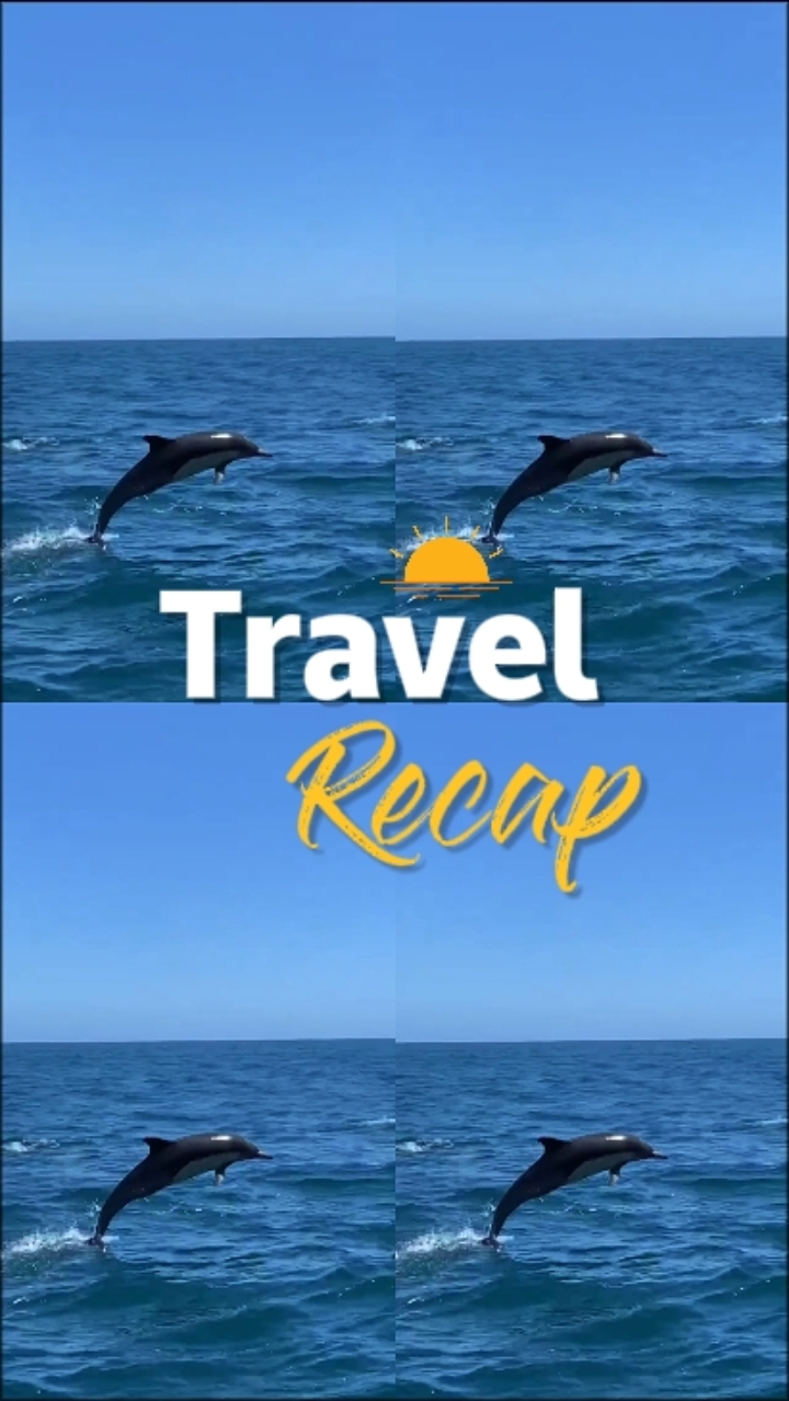 Travel Recap