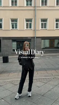 Visual Diary