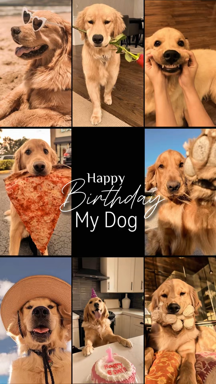 Geburtstag mein Hund 