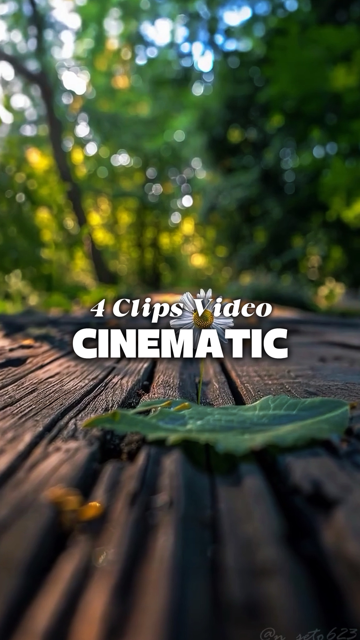 4 Vídeos Cinematográficos 