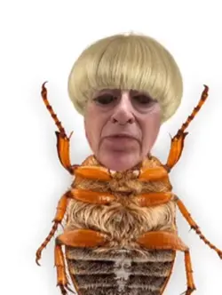 Mighty cockroach