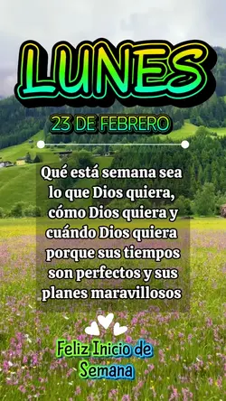 Buenos Días Frases