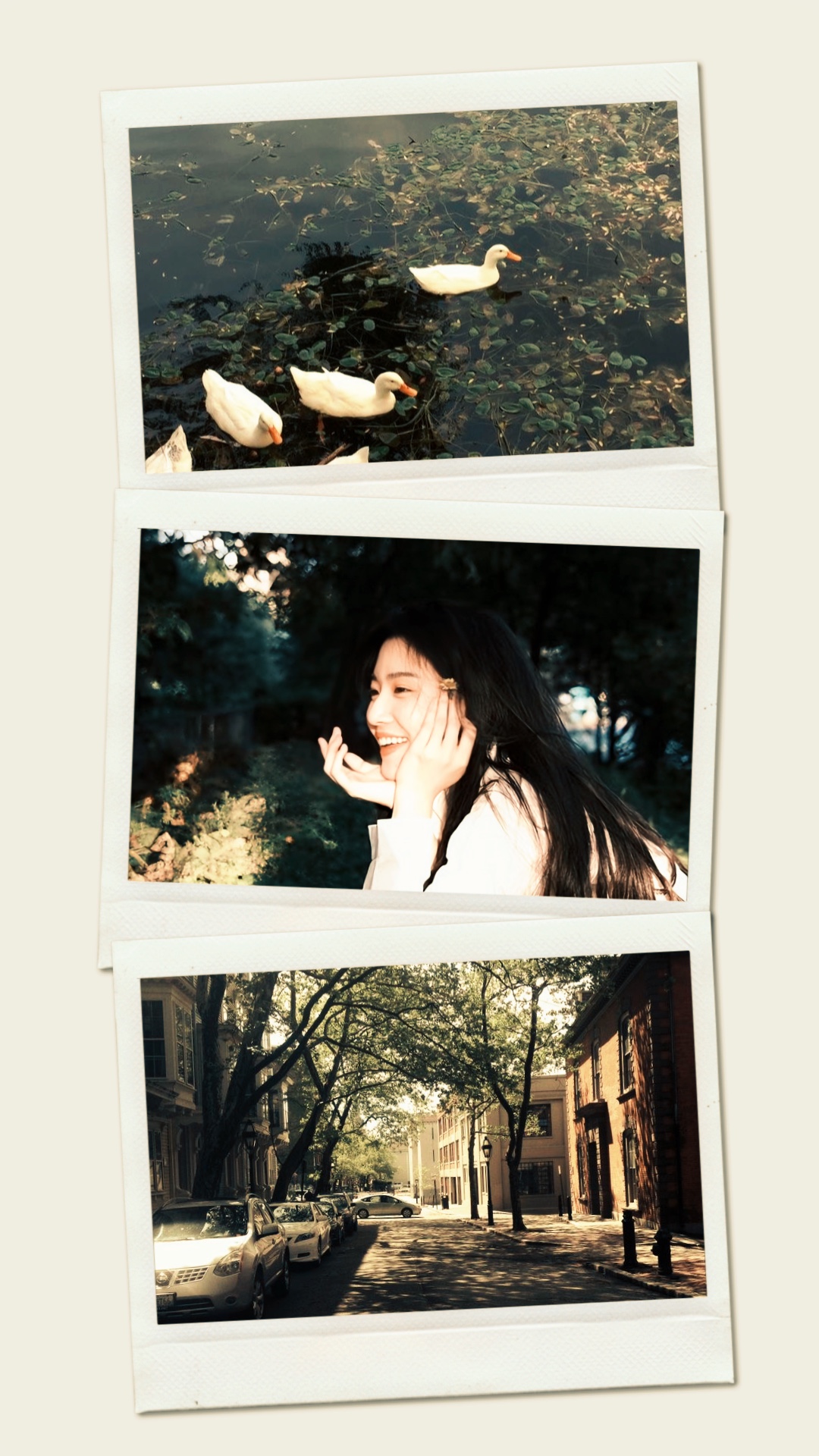 3 Frame aesthetic