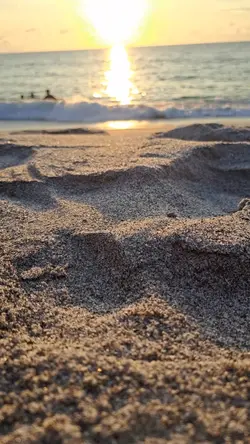 Sunset Vibes 