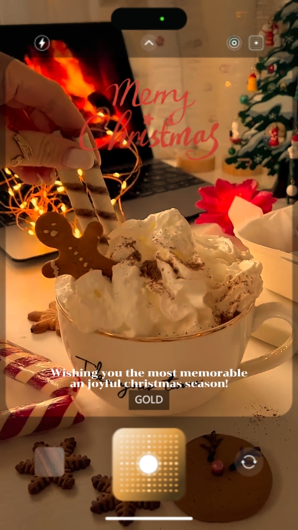 christmas wish 