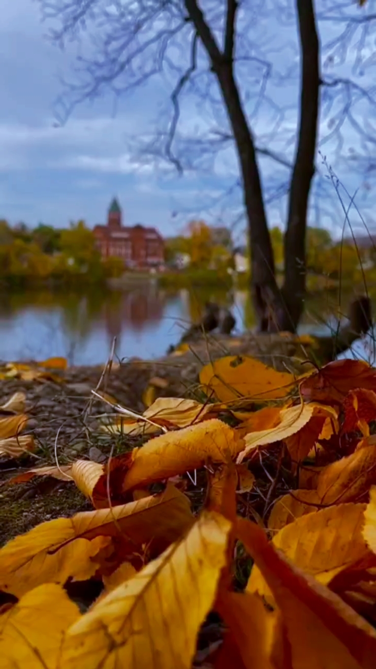 Herbst-Vibes