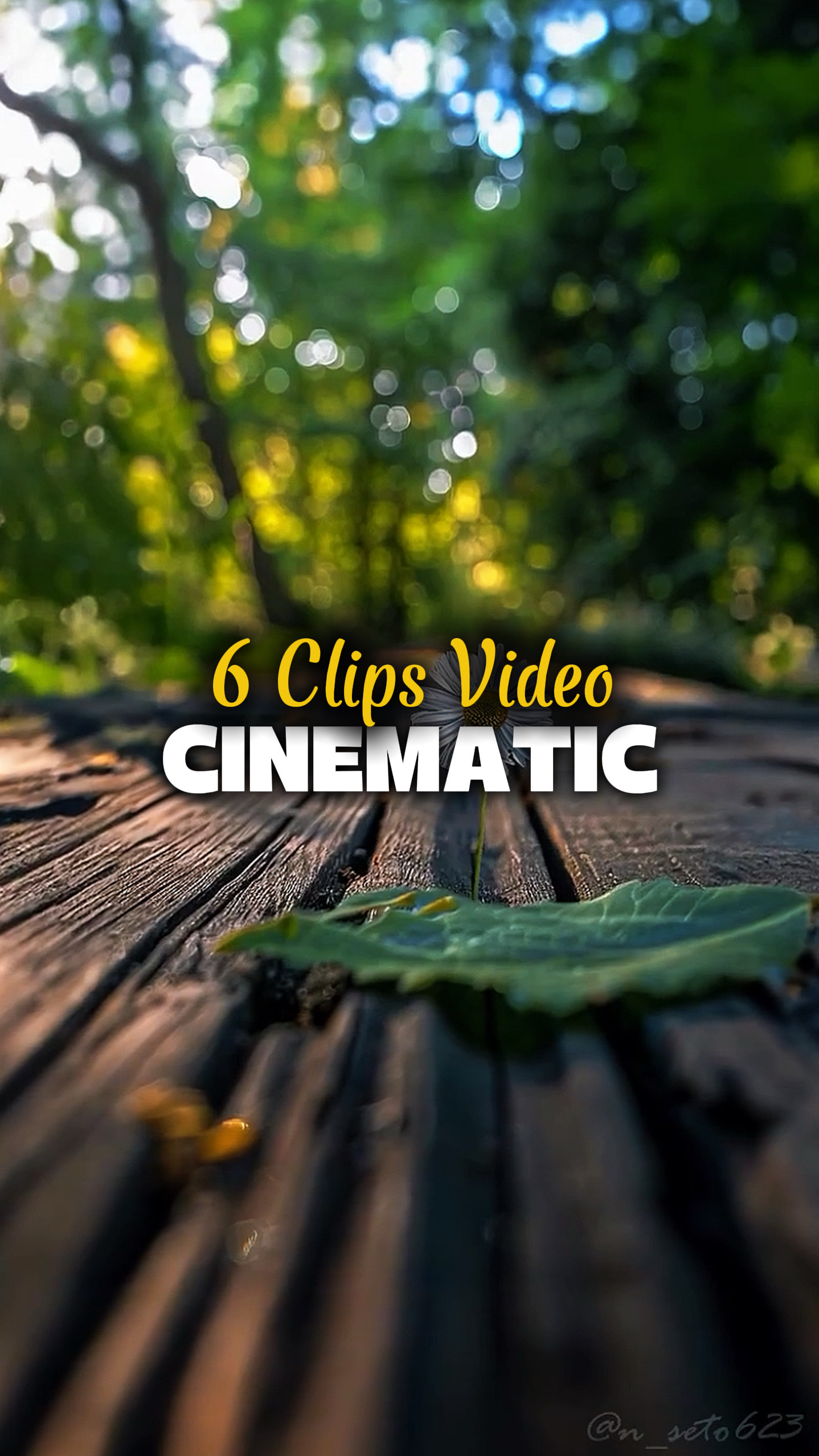 6 Videos Cinematic 