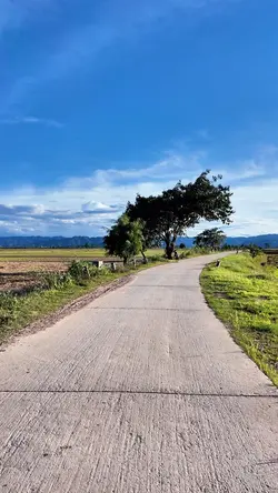 Cảnh đẹp bình yên