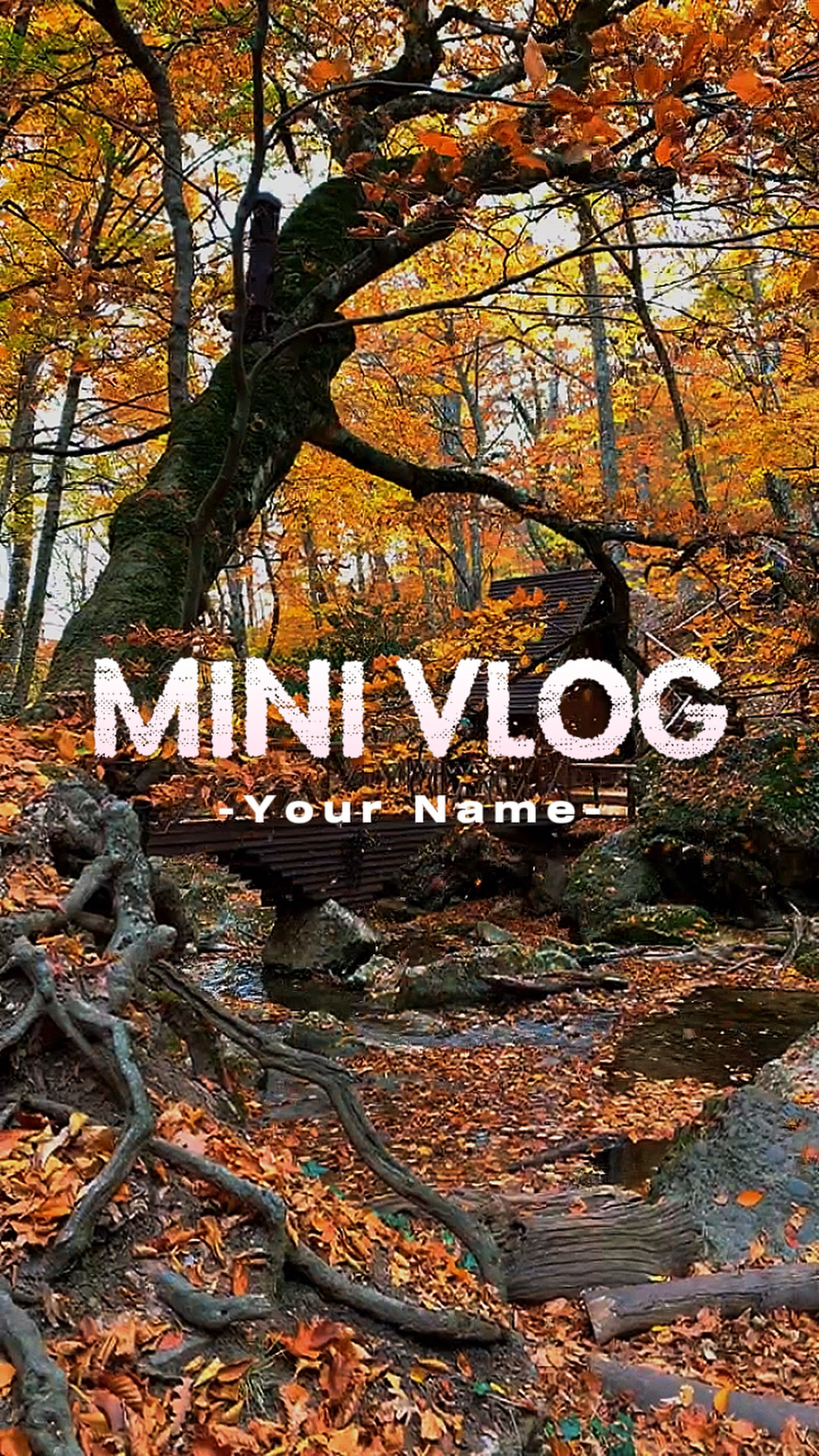 Vlog cinematográfico