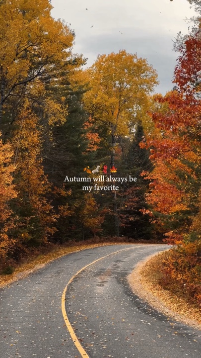 Der Herbst wird immer