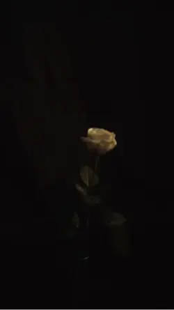 Slowmo