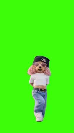 Dog/Cachorro.