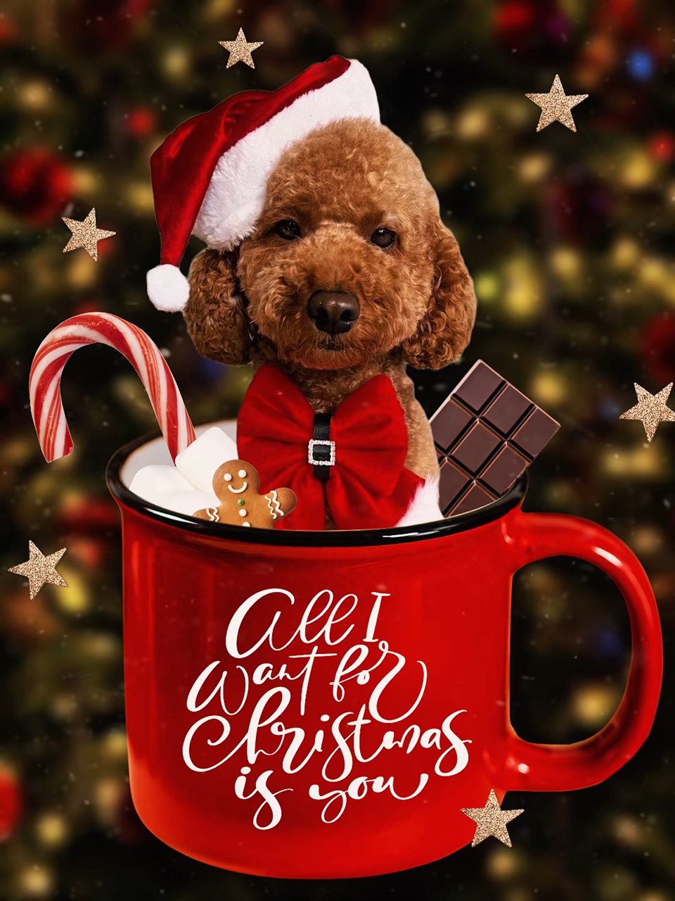 Navidad 2025 - Mascota