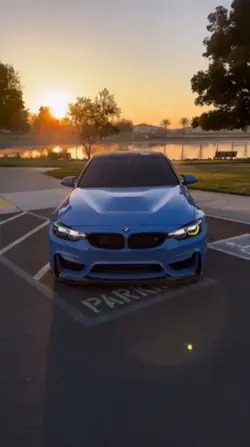 FREE CAR CLIP