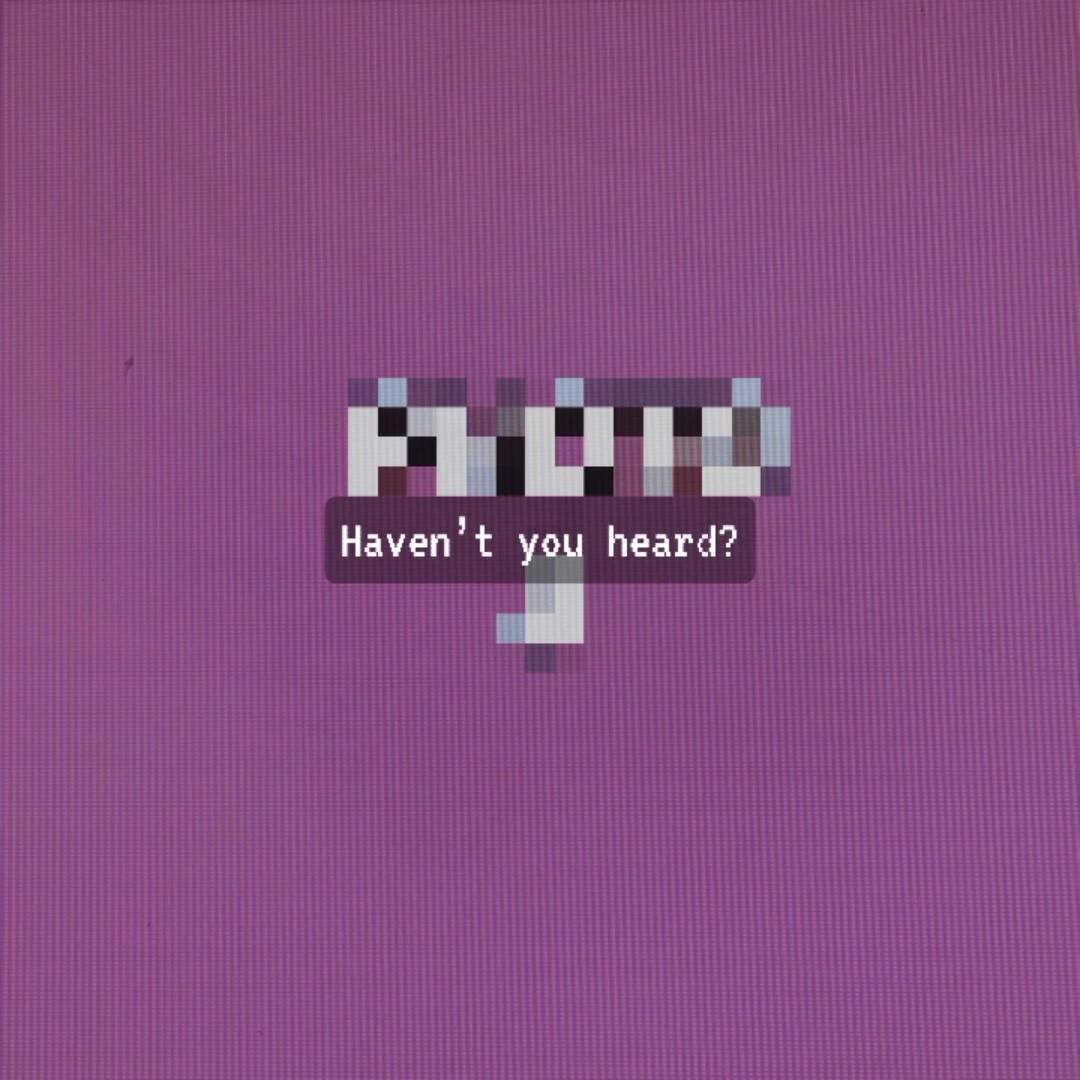 HAVEN DEĞİL