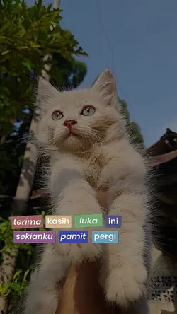 #terimakasihmantan