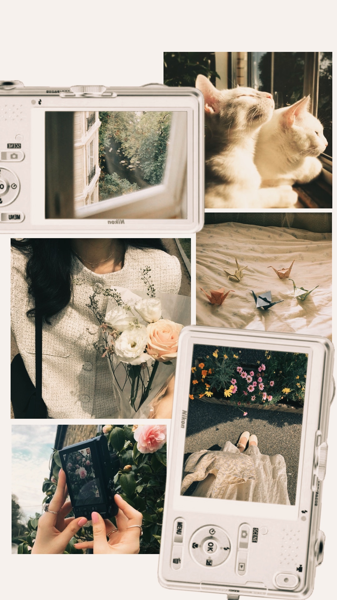 Aesthetic frame