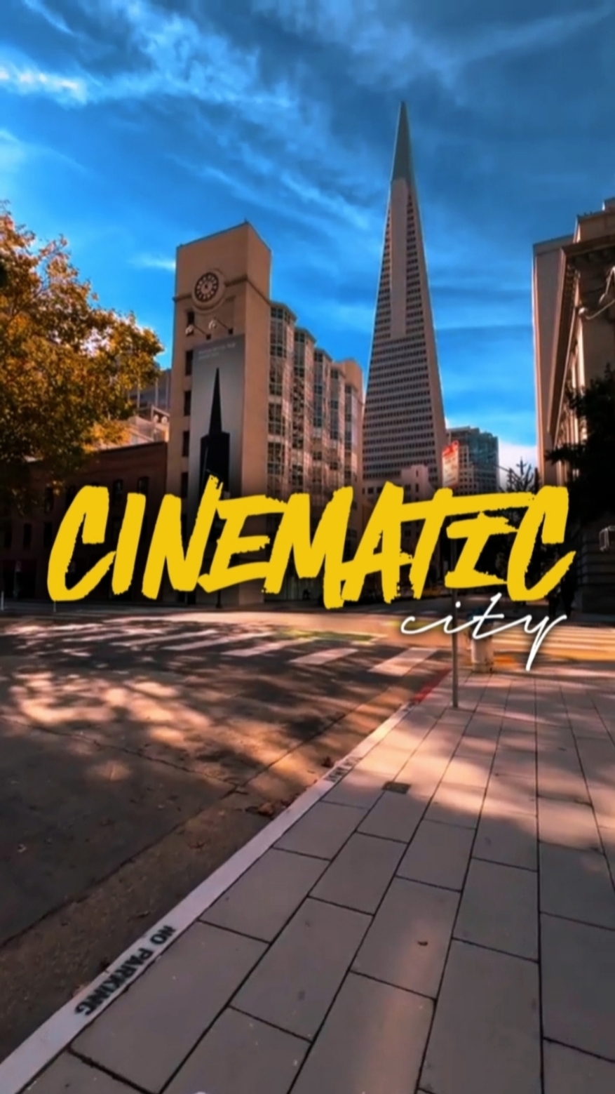 CINEMATIC CITY