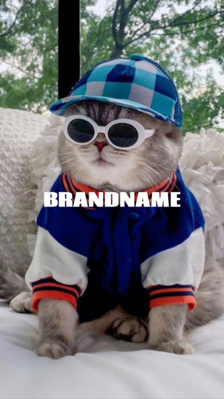 Affichage de produits de vêtements pour animaux de compagnie blagues à l'ancienne style TikTok