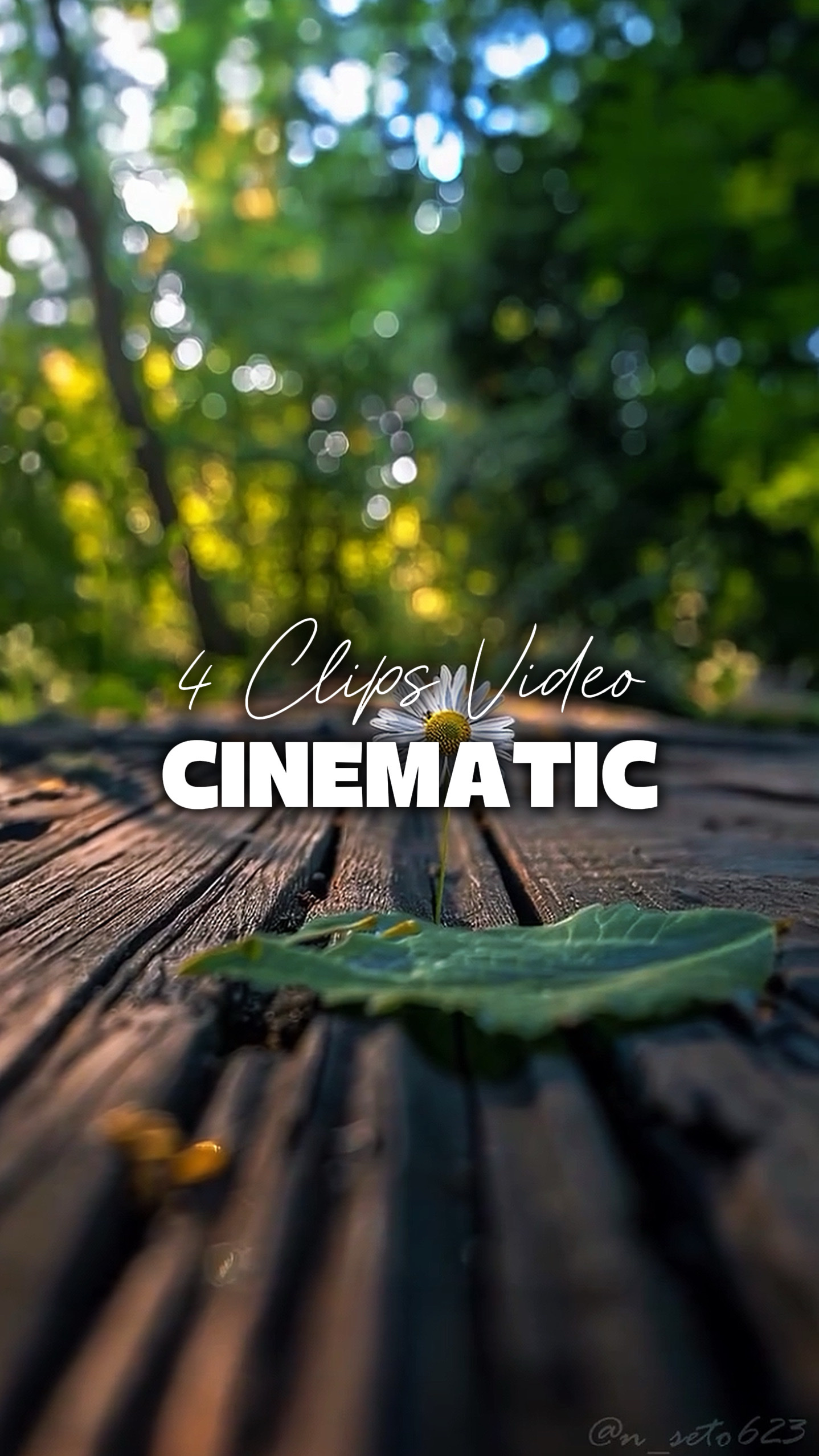4 Vídeos Cinematográficos 