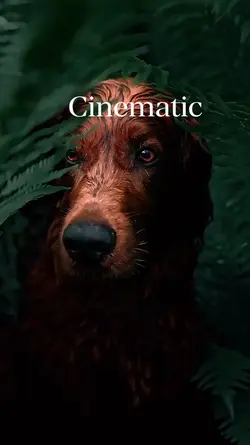 cinematic