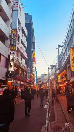Japan Vibes