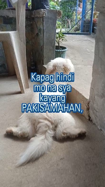 Pembicaraan Nyata yang Lucu