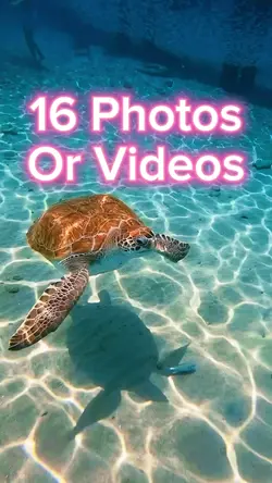 16 Video Slides